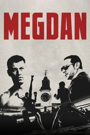 Return to the Ring (2024) HDRip Hindi (MULTI AUDIO) 720p - 480p - 1080p